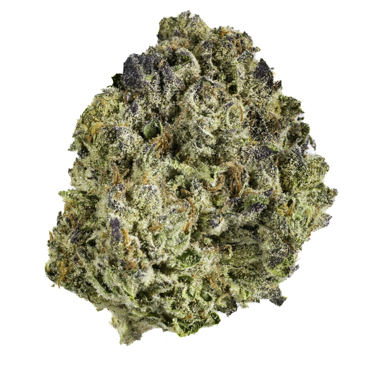 West Coast Cure - White Gushers - 28G Premium Flower - 1