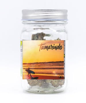 Phat Panda - Tamarindo | Big Buds | 7g - 1