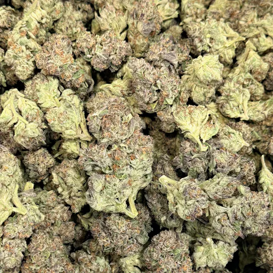 KEPOS - Kepos - Gelato 25 14G - PREMIUM FLOWER - 1