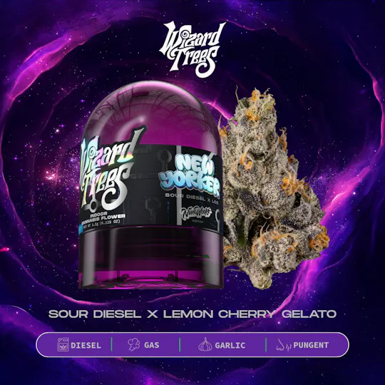 Wizard Trees - New Yorker | Indoor Flower | 3.5g - 1
