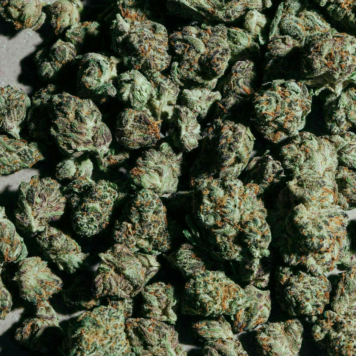 Cresco - Cinnamon Milk | Big Buds | 14g - 1