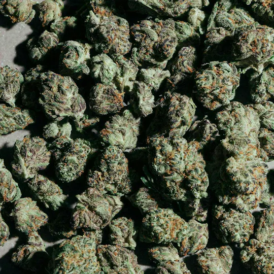 Cresco - Cinnamon Milk | Big Buds | 14g - 1