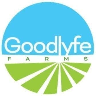 Goodlyfe Farms - East Coast Fire | Big Buds | 28g - 1