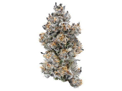 Connected Cannabis Co. - Guava x Biscotti | Big Buds | 3.5g - 1