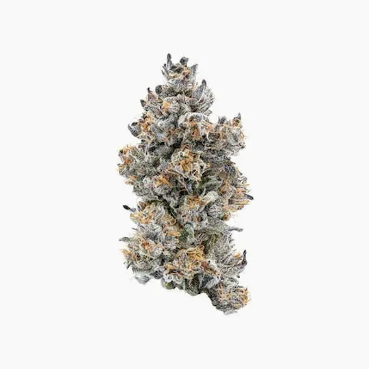Connected Cannabis Co. - Guava x Biscotti | Big Buds | 3.5g - 1