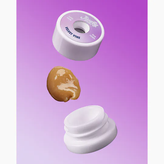 Jaunty - Velvet Vine | Live Rosin | 1g - 1