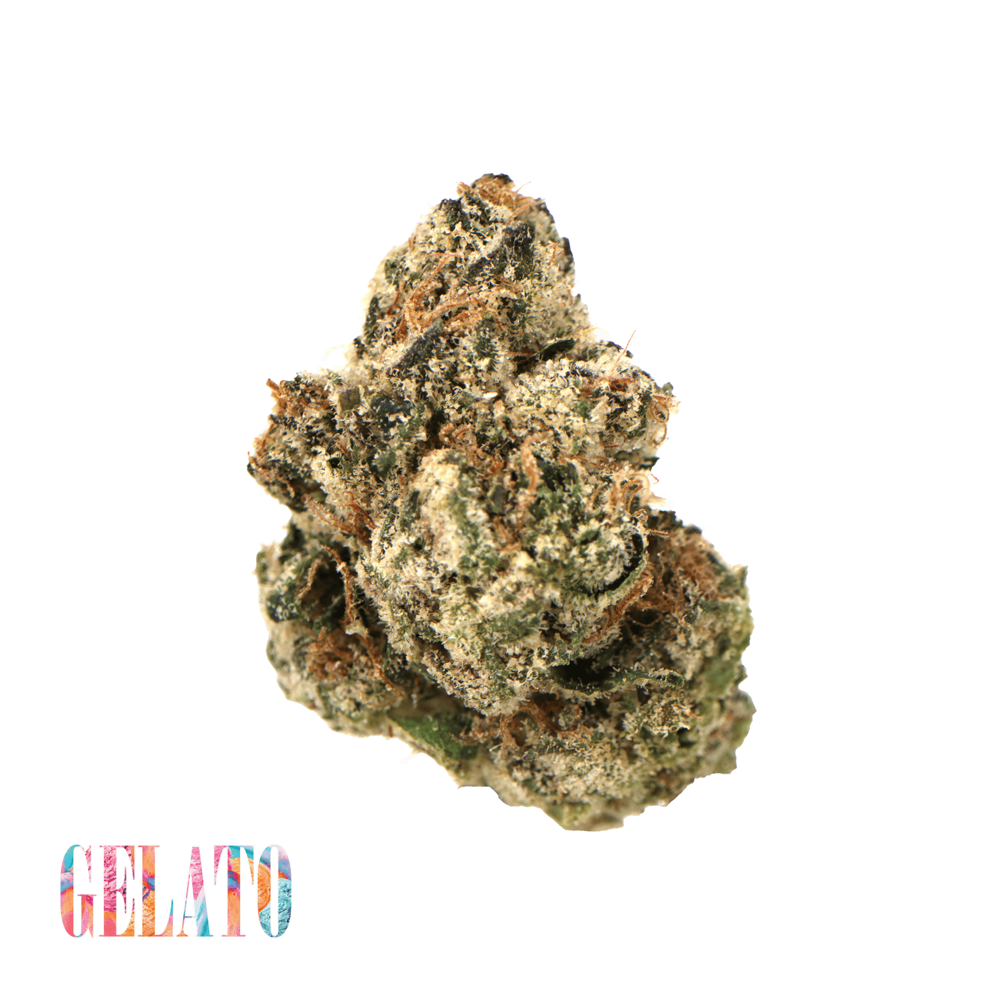Traditional - Traditional - Gelato Minis 5g Flower - 1