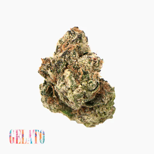 Traditional - Traditional - Gelato Minis 5g Flower - 1