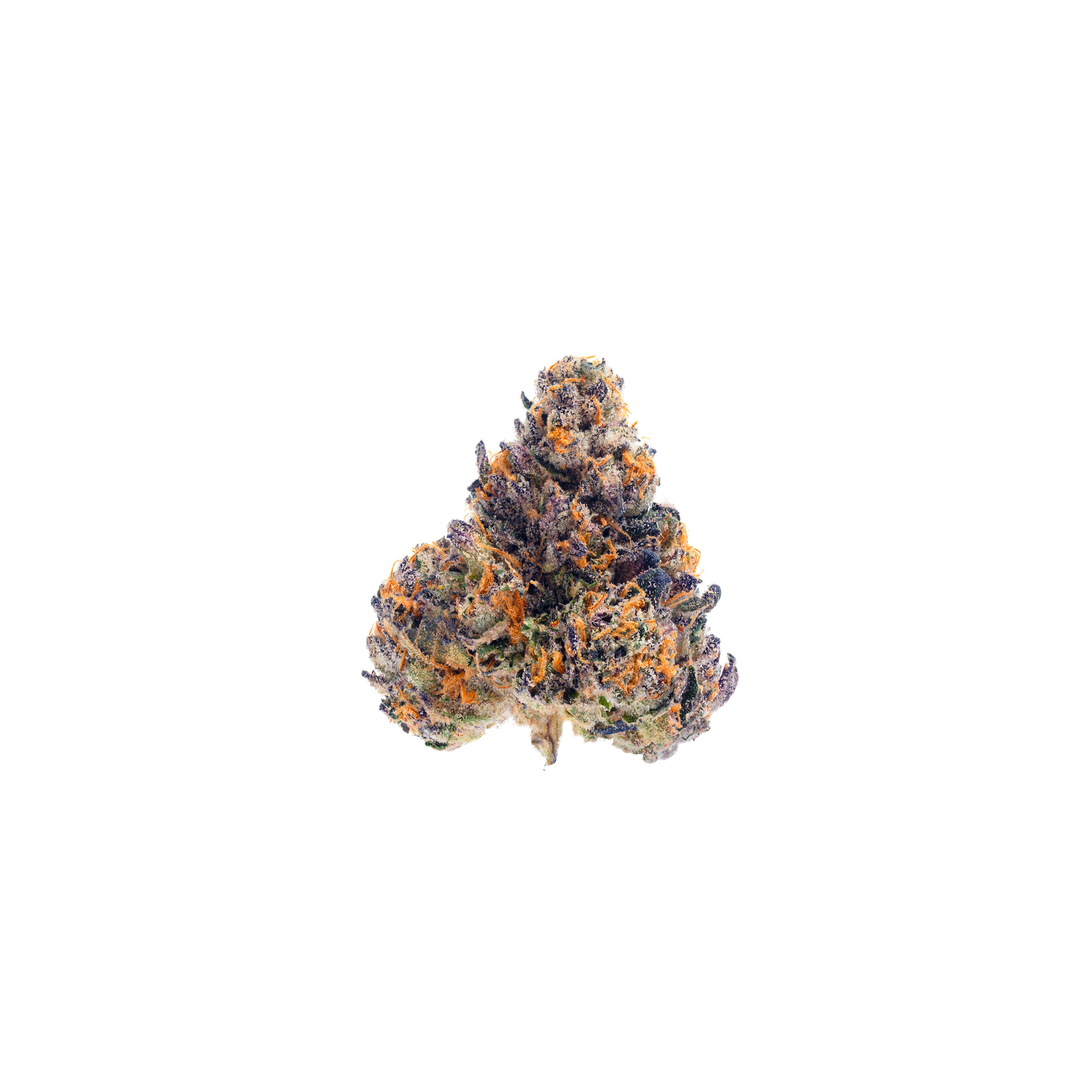 Preferred Gardens - Znackz | 14g | Bag - 1
