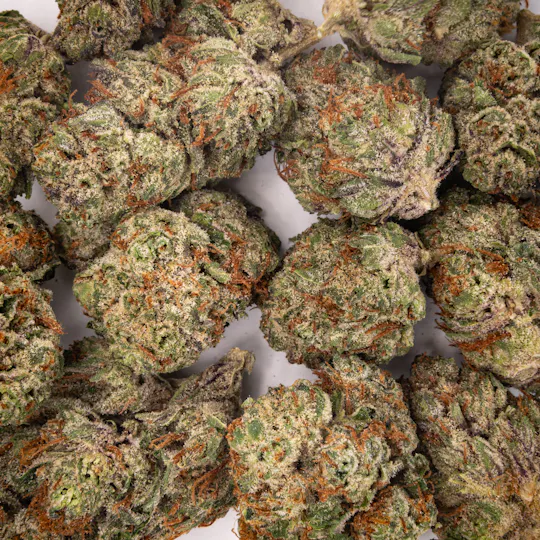 Pacific Stone - Pacific Stone | Garlic OZ | Big Buds | 7g - 1