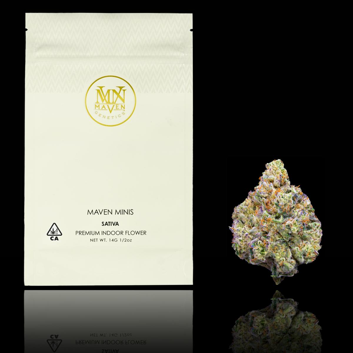 Maven Genetics - Pineapple Biscotti Maven Minis [14g] - 1