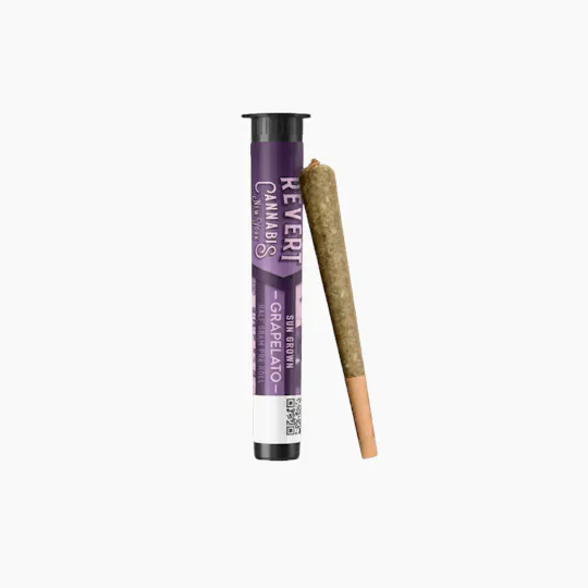 Revert - Grapelato | Mini | 0.5g - 1