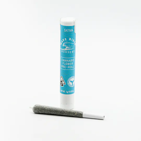 Wave Rider - Lemon Bars | Joint | 1g - 1