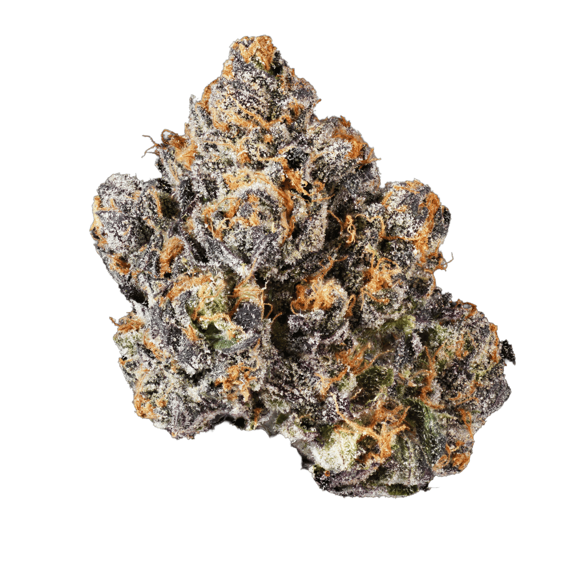 Connected Cannabis Co. - Midnight Bubba | Big Buds | 3.5g - 1