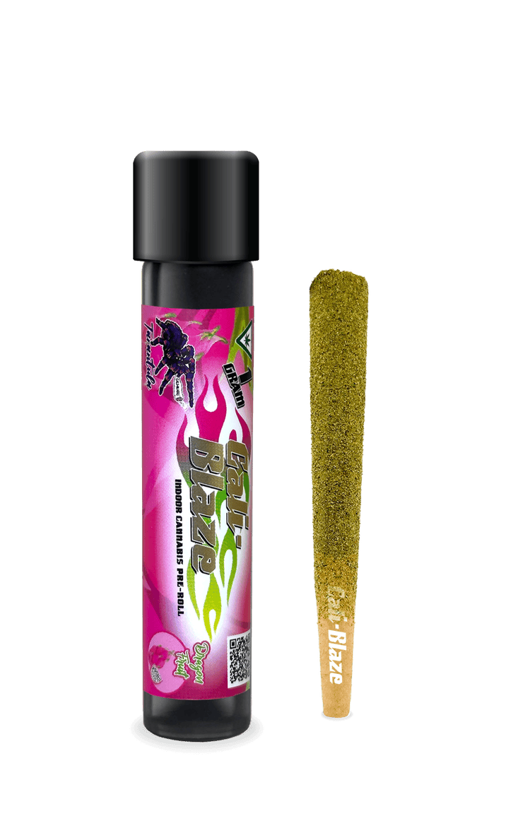 Cali-Blaze - Cali-Blaze | Dragon Fruit | Tarantula Infused Joint | 1g - 1