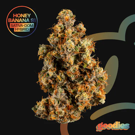 Goodies - Honey Banana S1 | Big Buds | 7g - 1