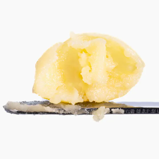 West Coast Cure - Grape Gas Live Resin Badder - 1