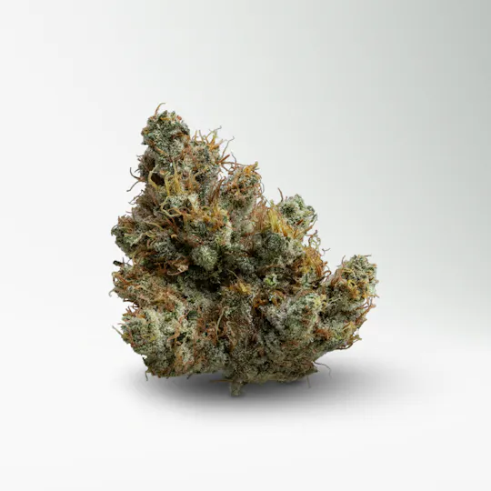 Wood Wide - Wood Wide | Dutch Treat | Big Buds | 3.5g - 1