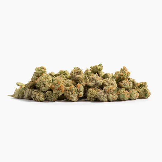 Decibel Gardens - Watermelon Punch | Smalls | 14g - 1