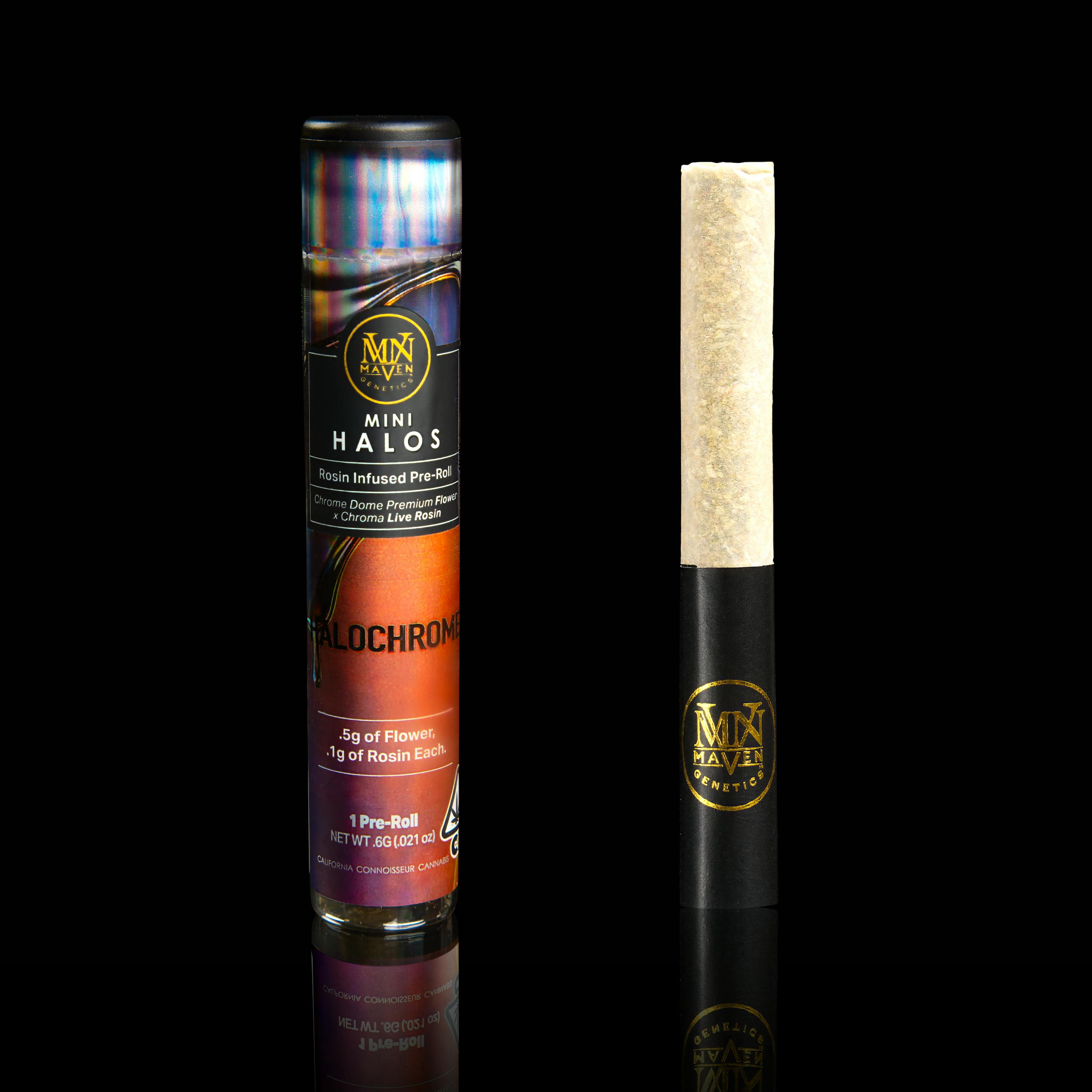 Maven Genetics - Halochrome Mini Halos Infused Pre-Roll Single [.6g] - 1