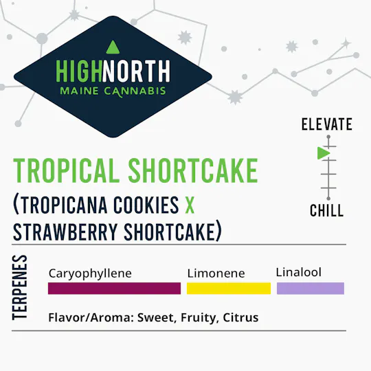 Wellness Connection - Tropical Shortcake - 1