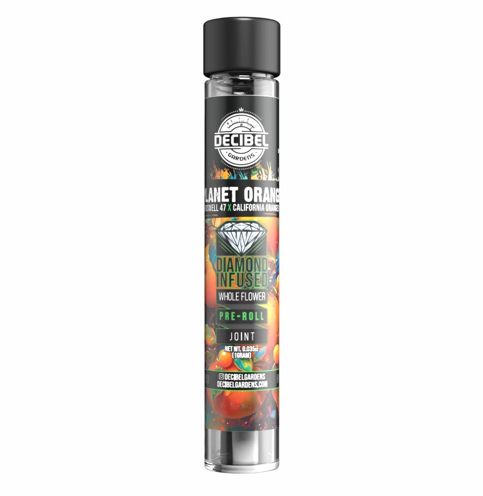 Decibel Gardens - Planet Orange | Infused Pre Roll | 1g - 1