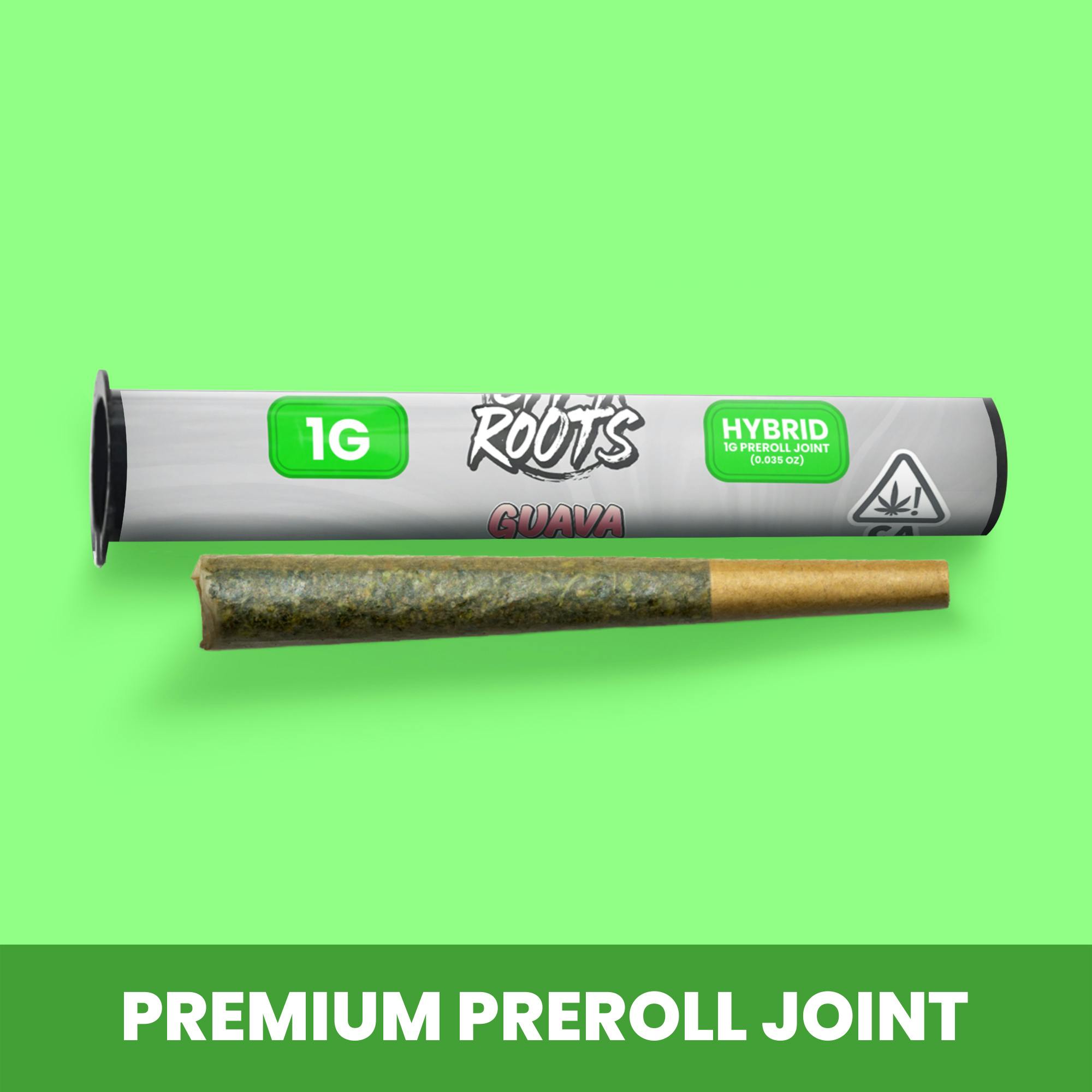 City Roots - Guava (Hybrid) Preroll 1g - 1