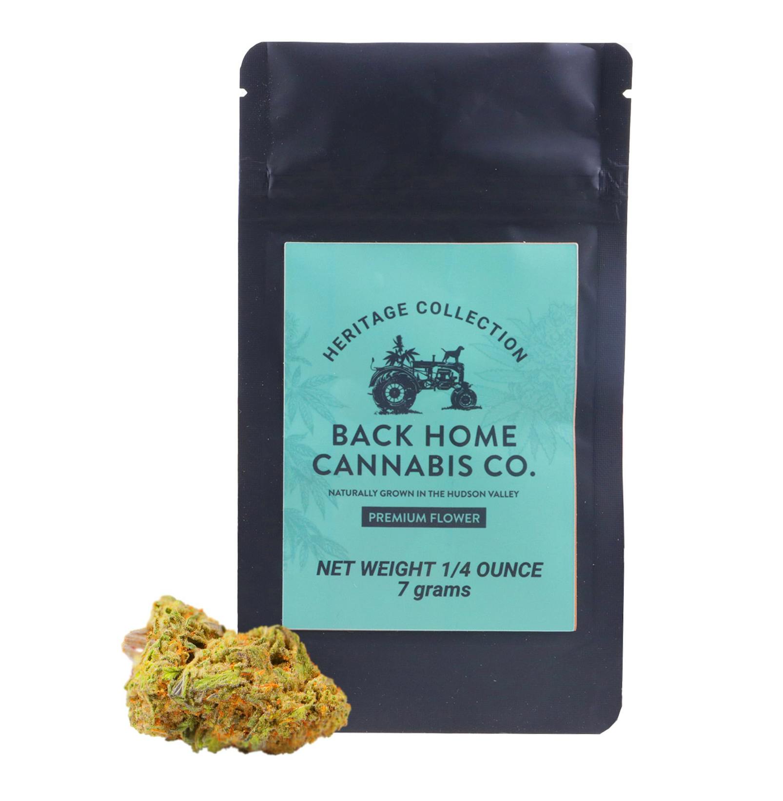 Back Home Cannabis Co. - Jack Herer | Big Buds | 7g - 1