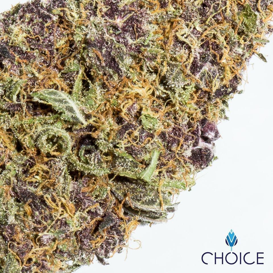 Choice Labs - Han Solo Burger | Big Buds - 1