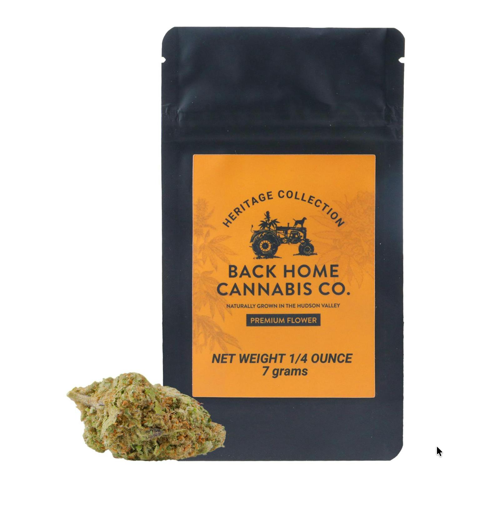 Back Home Cannabis Co. - Acapulco Gold | Big Buds | 7g - 1