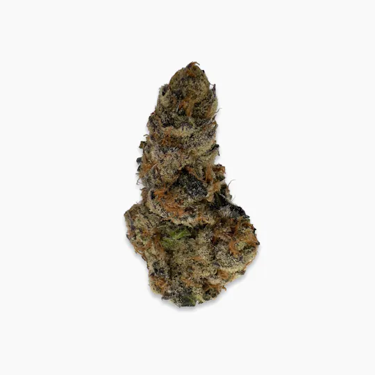 Indico - Fiji Sunset - Unicorn Tears - 1