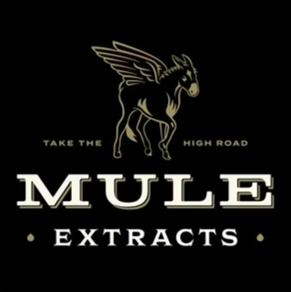 Mule Extracts - GMO x Kush Valley Chem Sour Skunk | Infused Joint | 1g - 1