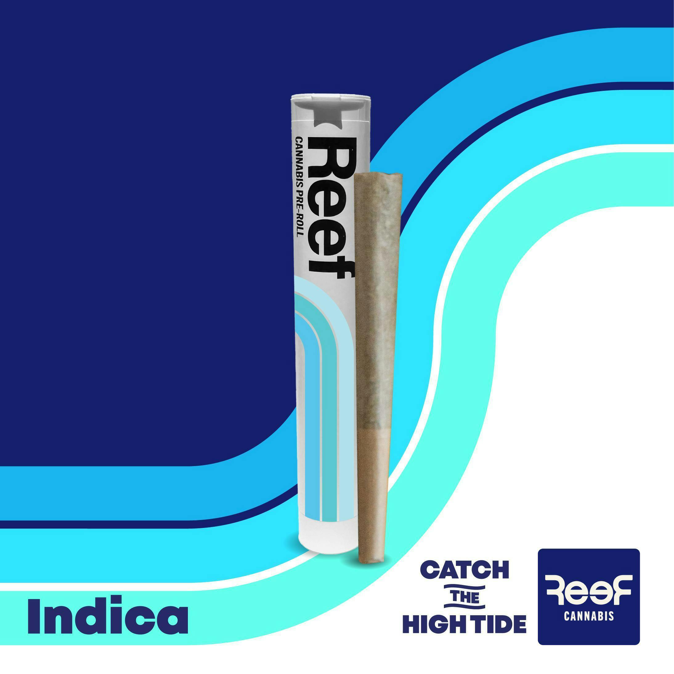 REEF Cannabis - Floral Frost Pre-Roll 1g - 1