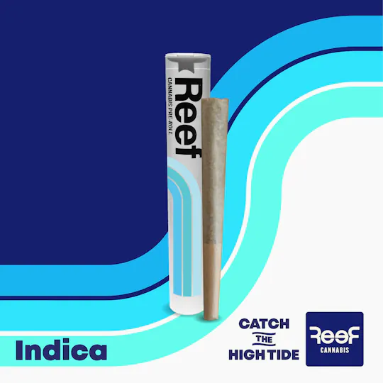 REEF Cannabis - Floral Frost Pre-Roll 1g - 1