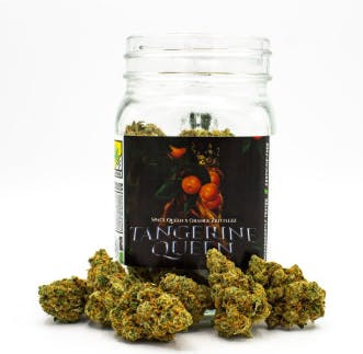 Phat Panda - Tangerine Queen | Big Buds | 7g - 1