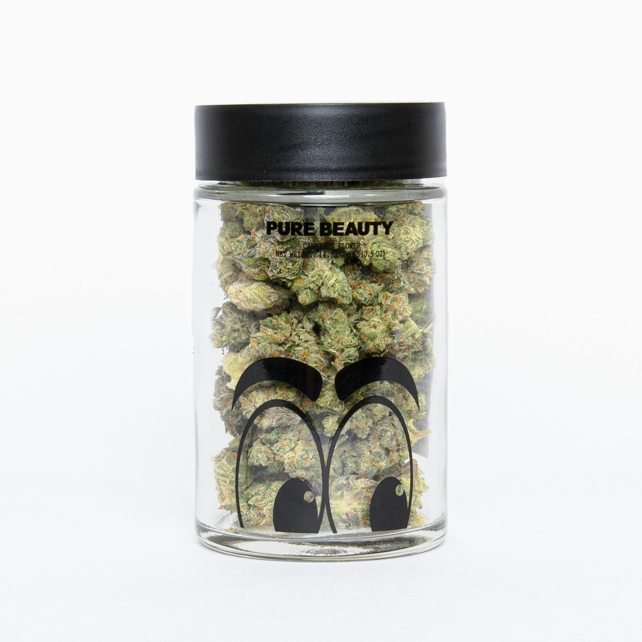 Pure Beauty - Bermuda Triangle | 14.17g Indoor - 1