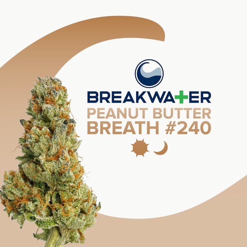 Breakwater - Peanut Butter Breath #240 | Flower 3.5g - 1