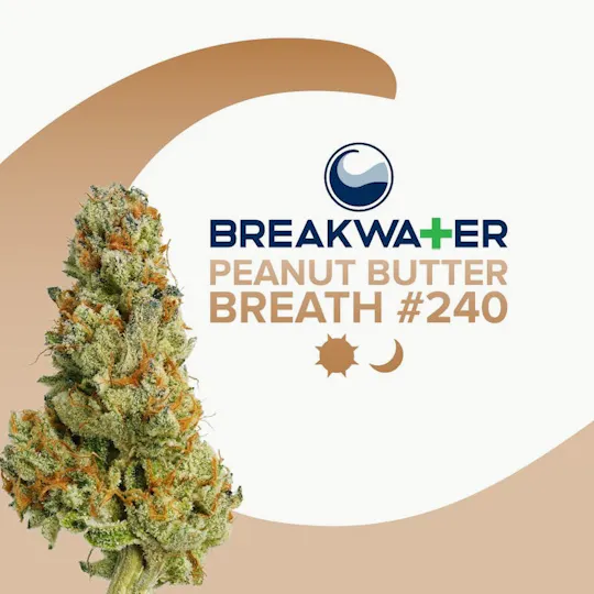 Breakwater - Peanut Butter Breath #240 | Flower 3.5g - 1