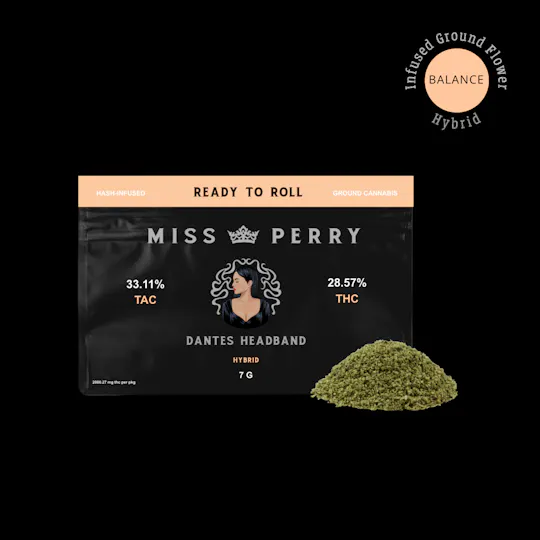 Miss Perry Northeastern Reserve - RTR 7G | Dantes Headband - 1