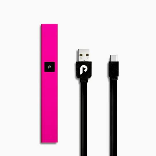PLUGPLAY™ - PLAY Battery Kit - Pink Steel USB-C - 1
