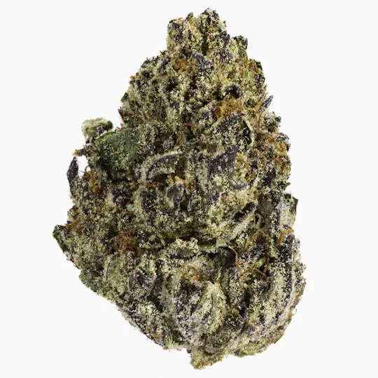 West Coast Cure - West Coast Cure | Purple Cream | Flower | 14g - 1