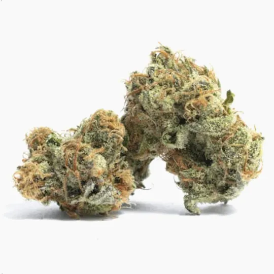 Smoakland - Smoakland Xclusivez | Gelato 41 | Big Buds - 1