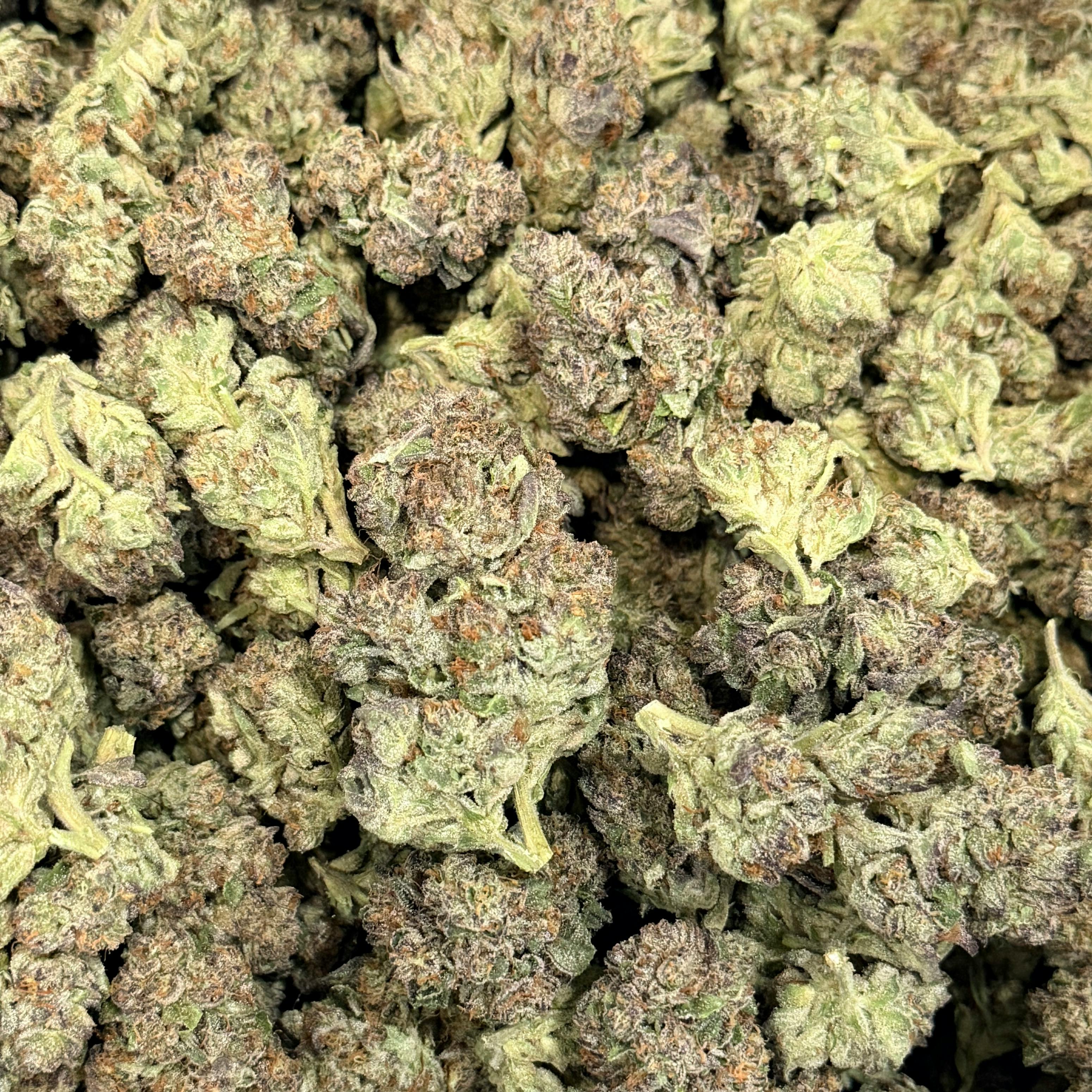 KEPOS - Kepos - Gelato 25 28G - PREMIUM FLOWER - 1