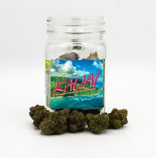 Phat Panda - Platinum | Kauai | Big Buds | 7g - 1
