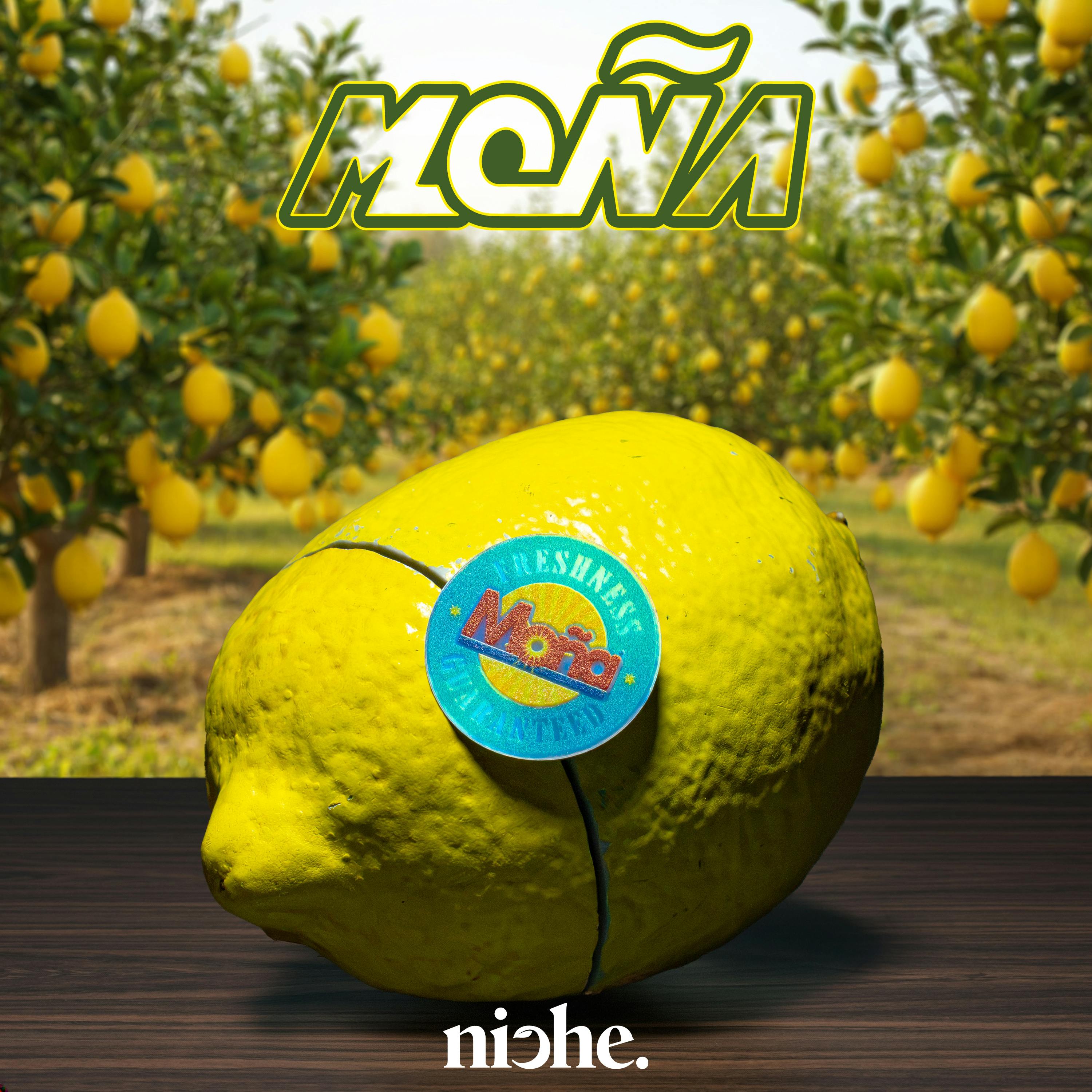 Niche - Moña Collab - Citrico | 3.5g - 1
