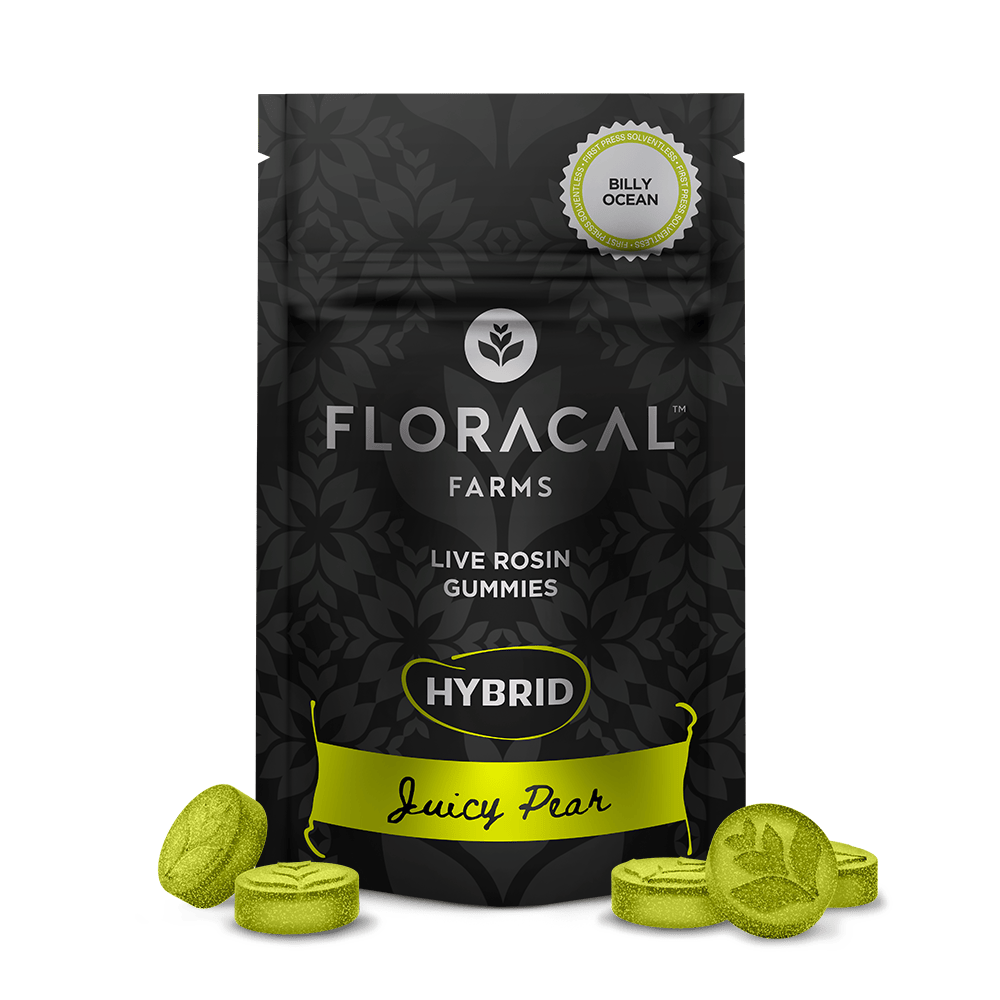 FloraCal Farms - Live Rosin Juicy Pear (Billy Ocean) Gummies | 100mg | 10ct | 10mg/ea - 1