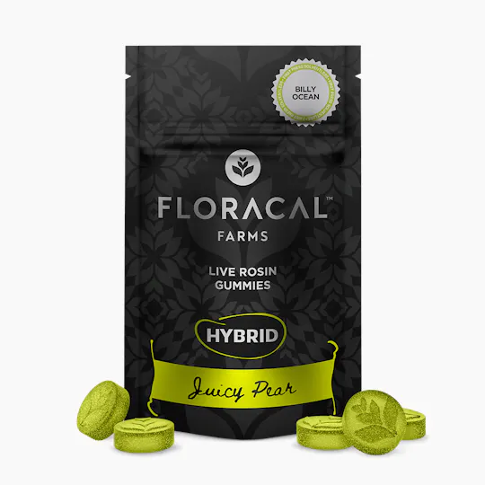 FloraCal Farms - Live Rosin Juicy Pear (Billy Ocean) Gummies | 100mg | 10ct | 10mg/ea - 1