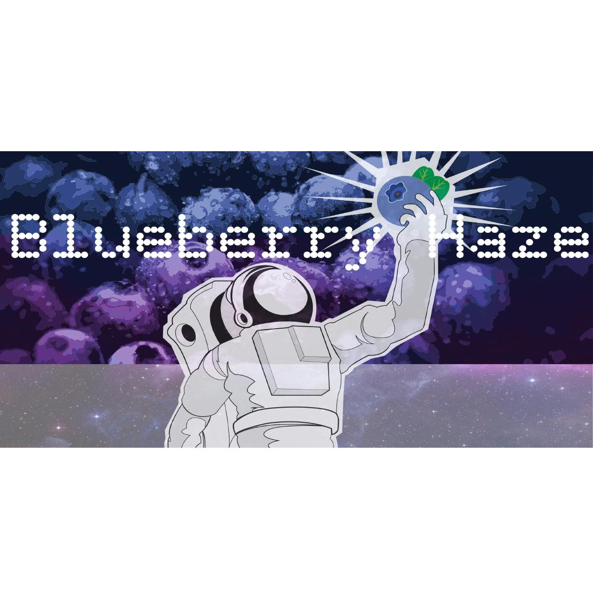 Life Gardens - Blueberry Haze, Indica Dominant, 1g - 1