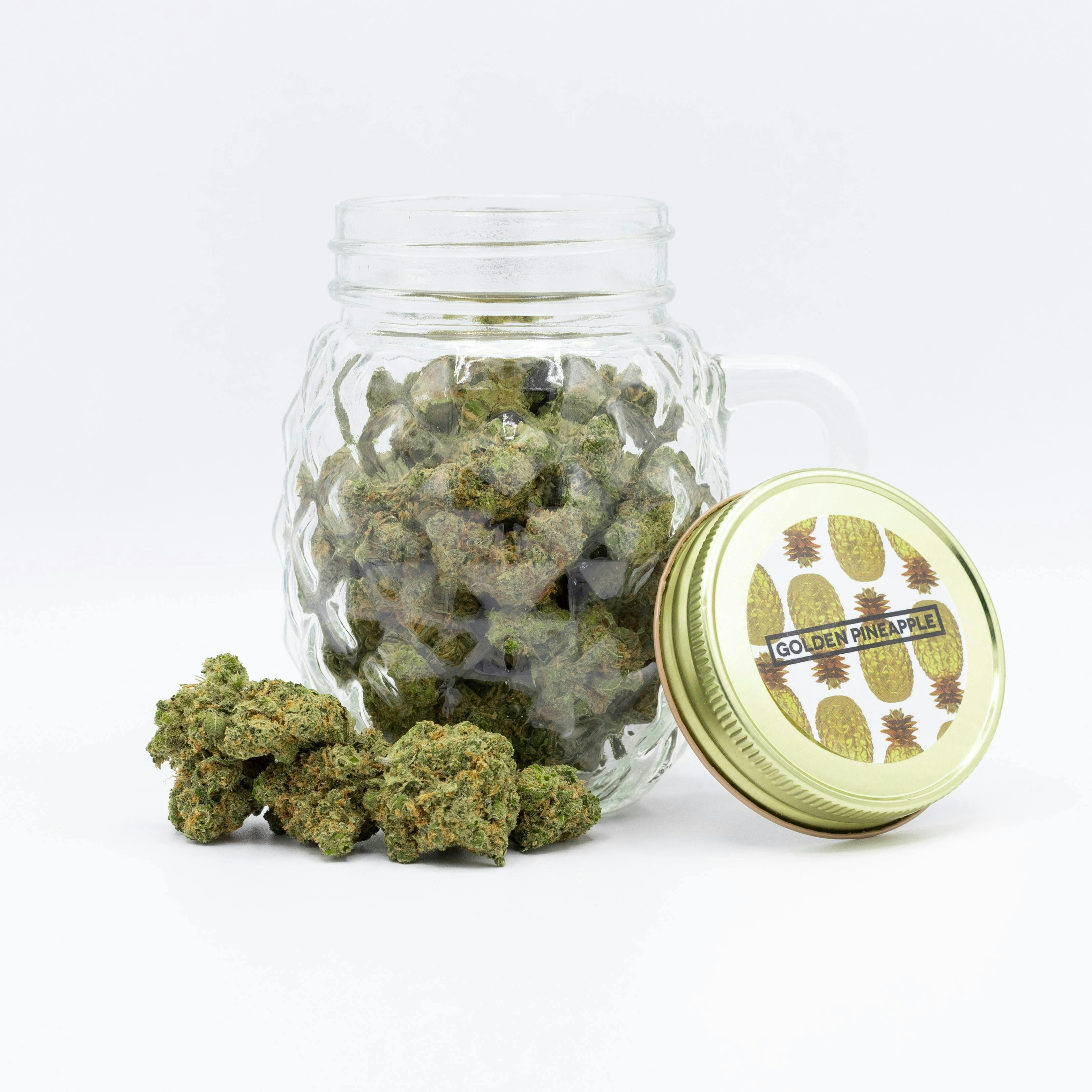 Phat Panda - Golden Pineapple - WA - 1