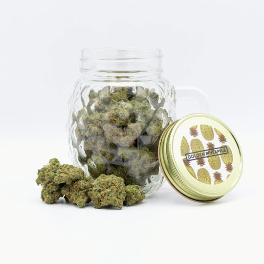 Phat Panda - Golden Pineapple - WA - 1